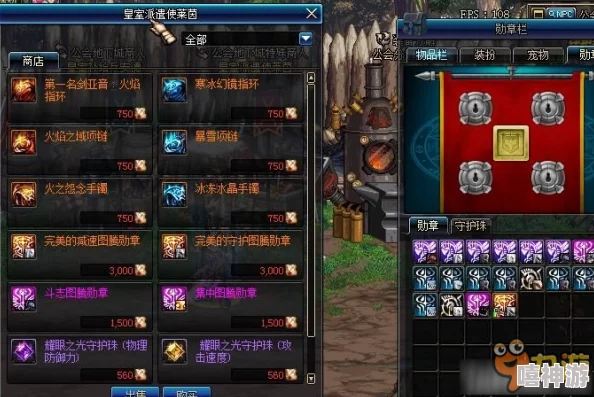 DNF游戏中勋章应在哪个副本中获取与提升攻略