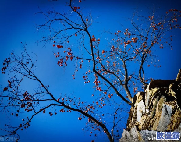 男生被困在女装硅胶皮套里出不来：探讨硅胶材料的特性与对身体的影响以及相关安全问题