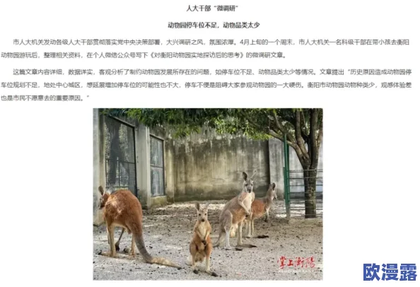 欧美人与禽交：探讨西方文化中关于人类与动物关系的争议及其对社会伦理的影响