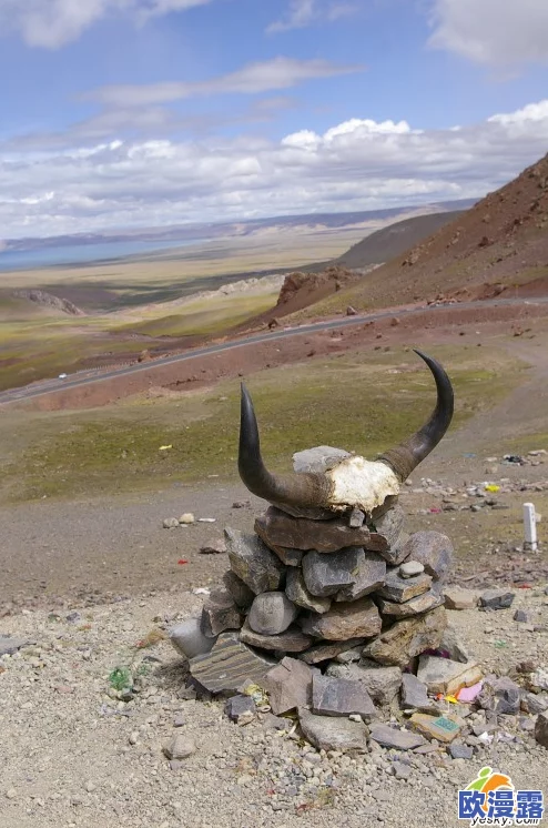 妹妹鼓蓬蓬的牦户：惊天动地的悬赏追捕，藏匿在遥远山谷的牦牛人竟藏有惊人秘密！
