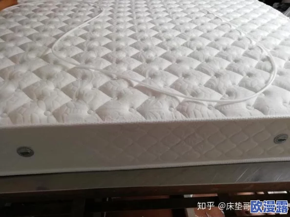 办公室可不可以干湿你的床垫?了解在工作环境中如何处理床垫的清洁与保养问题,确保健康和舒适 办公室可不可以干湿你的床垫?了解在工作环境中如何处理床垫的清洁与保养问题,确保健康和舒适