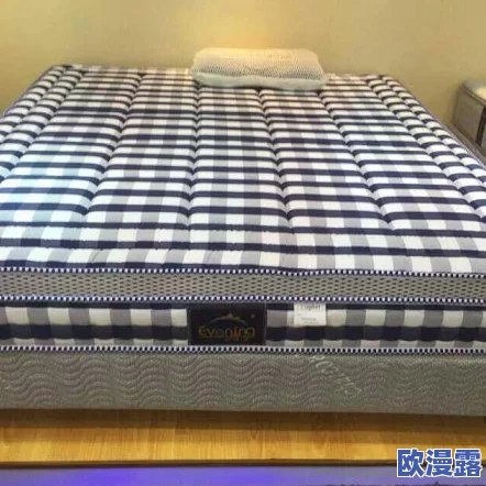 办公室可不可以干湿你的床垫?了解在工作环境中如何处理床垫的清洁与保养问题,确保健康和舒适 办公室可不可以干湿你的床垫?了解在工作环境中如何处理床垫的清洁与保养问题,确保健康和舒适